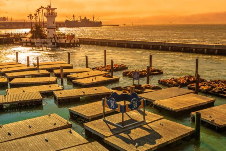 72259953_l_normal_none (1) docks floating at sunset in a gorgeous inlet
